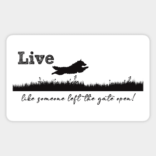 Live like someone left the gate open! Magnet